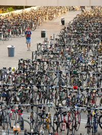 Bike Racks